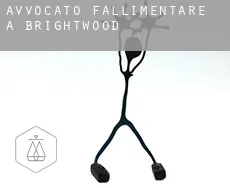 Avvocato fallimentare a  Brightwood