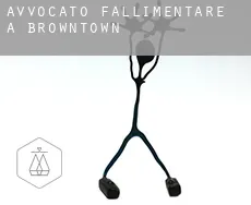 Avvocato fallimentare a  Browntown