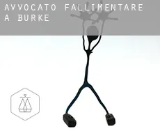 Avvocato fallimentare a Burke