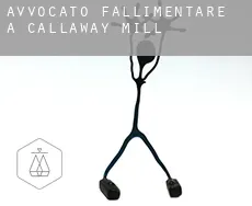 Avvocato fallimentare a  Callaway Mill