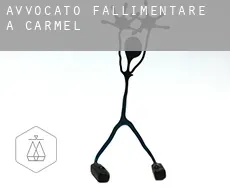 Avvocato fallimentare a  Carmel