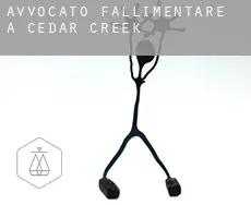 Avvocato fallimentare a  Cedar Creek