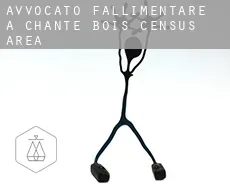 Avvocato fallimentare a  Chante-Bois (census area)