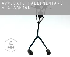 Avvocato fallimentare a  Clarkton
