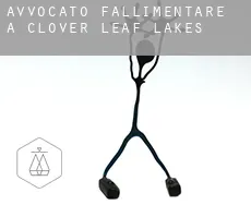 Avvocato fallimentare a  Clover Leaf Lakes