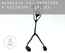 Avvocato fallimentare a  Colthurst Bridge