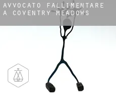 Avvocato fallimentare a  Coventry Meadows