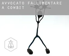 Avvocato fallimentare a  Cowbit