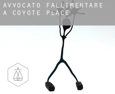 Avvocato fallimentare a  Coyote Place