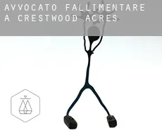 Avvocato fallimentare a  Crestwood Acres