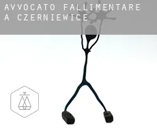 Avvocato fallimentare a Czerniewice