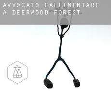 Avvocato fallimentare a  Deerwood Forest