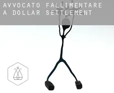 Avvocato fallimentare a  Dollar Settlement
