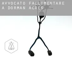 Avvocato fallimentare a  Dorman Acres