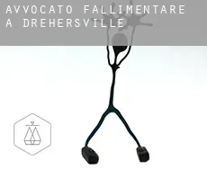 Avvocato fallimentare a  Drehersville