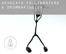 Avvocato fallimentare a Drumnafinnila