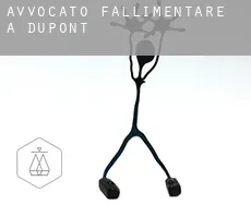 Avvocato fallimentare a  Dupont