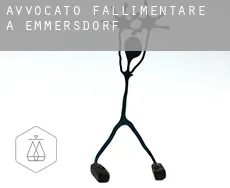 Avvocato fallimentare a  Emmersdorf