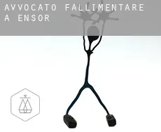 Avvocato fallimentare a Ensor