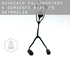 Avvocato fallimentare a  Gemeente Made en Drimmelen