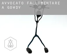 Avvocato fallimentare a  Gowdy