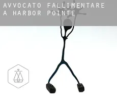 Avvocato fallimentare a  Harbor Pointe