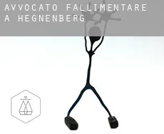 Avvocato fallimentare a  Hegnenberg