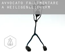 Avvocato fallimentare a  Heiligenleichnam
