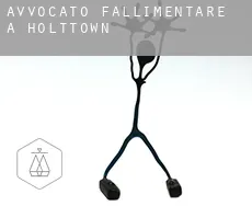 Avvocato fallimentare a  Holttown