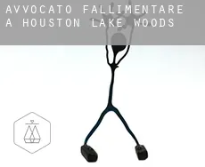 Avvocato fallimentare a  Houston Lake Woods