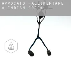 Avvocato fallimentare a Indian Creek