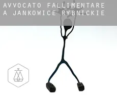 Avvocato fallimentare a Jankowice Rybnickie