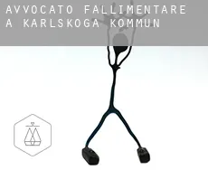 Avvocato fallimentare a Karlskoga Kommun