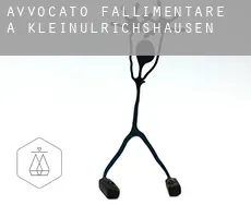 Avvocato fallimentare a Kleinulrichshausen