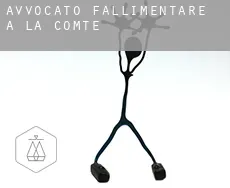 Avvocato fallimentare a  La Comté