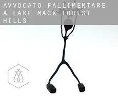 Avvocato fallimentare a  Lake Mack-Forest Hills