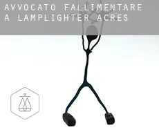 Avvocato fallimentare a  Lamplighter Acres