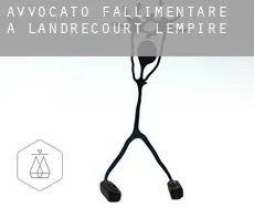 Avvocato fallimentare a  Landrecourt-Lempire