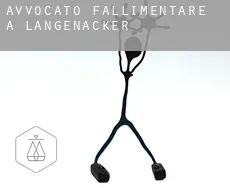 Avvocato fallimentare a  Langenacker