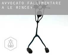 Avvocato fallimentare a  Le Rincey