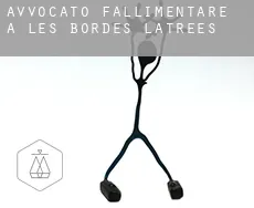 Avvocato fallimentare a Les Bordes-Latrées