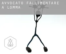 Avvocato fallimentare a Lomma Municipality
