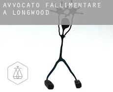 Avvocato fallimentare a Longwood