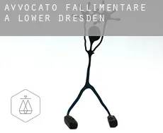 Avvocato fallimentare a  Lower Dresden