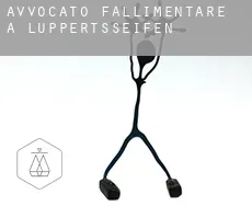 Avvocato fallimentare a  Luppertsseifen