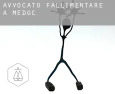 Avvocato fallimentare a  Medoc