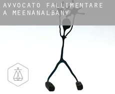 Avvocato fallimentare a  Meenanalbany