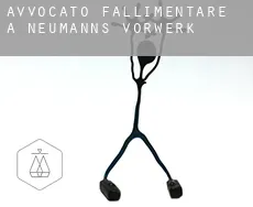 Avvocato fallimentare a  Neumanns Vorwerk