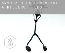 Avvocato fallimentare a  Niederüttfeld
