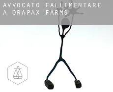 Avvocato fallimentare a  Orapax Farms
